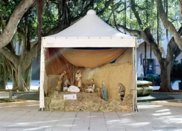 Cosa fare a Natale in città.