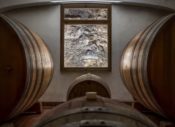 Caruso e Minini - bottaia