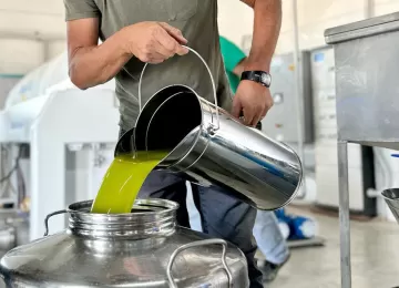 Frantoio donna giacoma - molitura olio frantoio