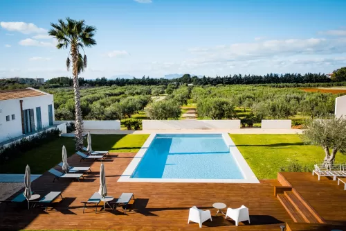 Baglio Custera - pool view and olive trees