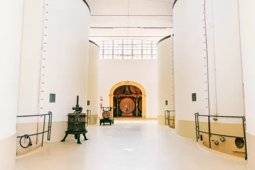 Cantine Lombardo - visita in cantina