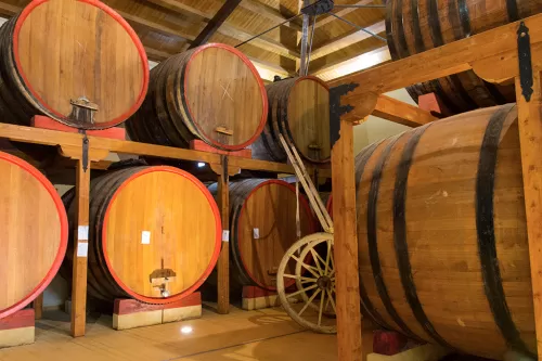 Cantine Lombardo - sala botti