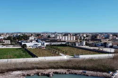 Cantine Lombardo - veduta aerea azienda