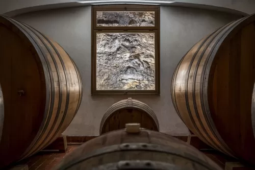 Caruso e Minini - bottaia