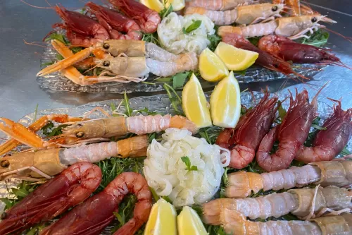 Dedeo 100 Ristorante Marsala - fish raw