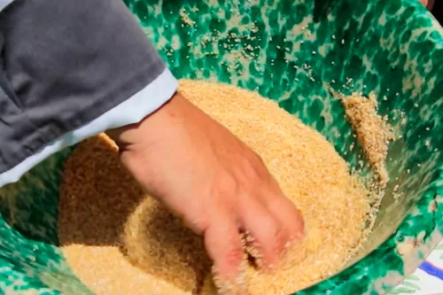 Dedeo 100 Ristorante Marsala - Incocciatura Cous Cous