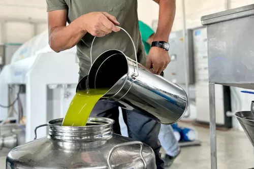 Frantoio donna giacoma - molitura olio frantoio