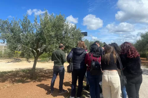 Frantoio donna giacoma - tour experience olio