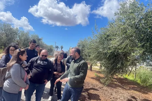 Frantoio donna giacoma - tour experience