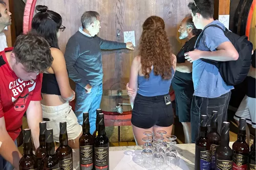 Cantine Lombardo - wine tasting