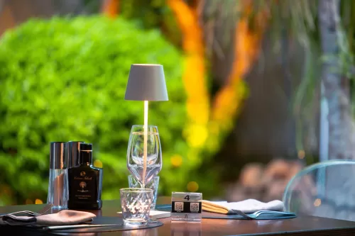 tavolo apparecchiato su fondo di piante