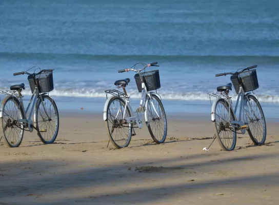 Noleggio Bici e Monopattini