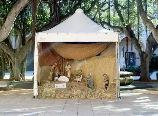 Cosa fare a Natale in città.