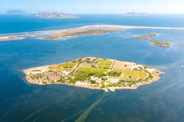 Escursioni in barca Isola di Mozia