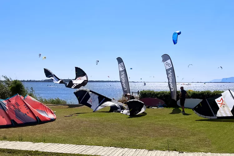 mv tourist card sport acquatici