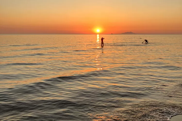 mv tourist card mare